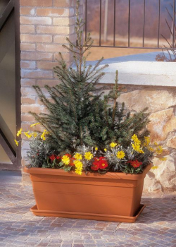 CASSETTA PER FIORI AKEA IN PLASTICA EURO3PLAST