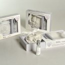 CONFEZIONE GESSO PROFUMATO CON FORME ASSORTITE CON 1 RICARICA SPRAY DI PROFUMO