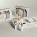 CONFEZIONE GESSO PROFUMATO CON FORME ASSORTITE CON 1 RICARICA SPRAY DI PROFUMO